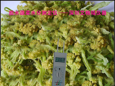 精準(zhǔn)把控水分，賦能品質(zhì)升級 中國高場能蔬菜水分儀與水果片水分測定儀全解析